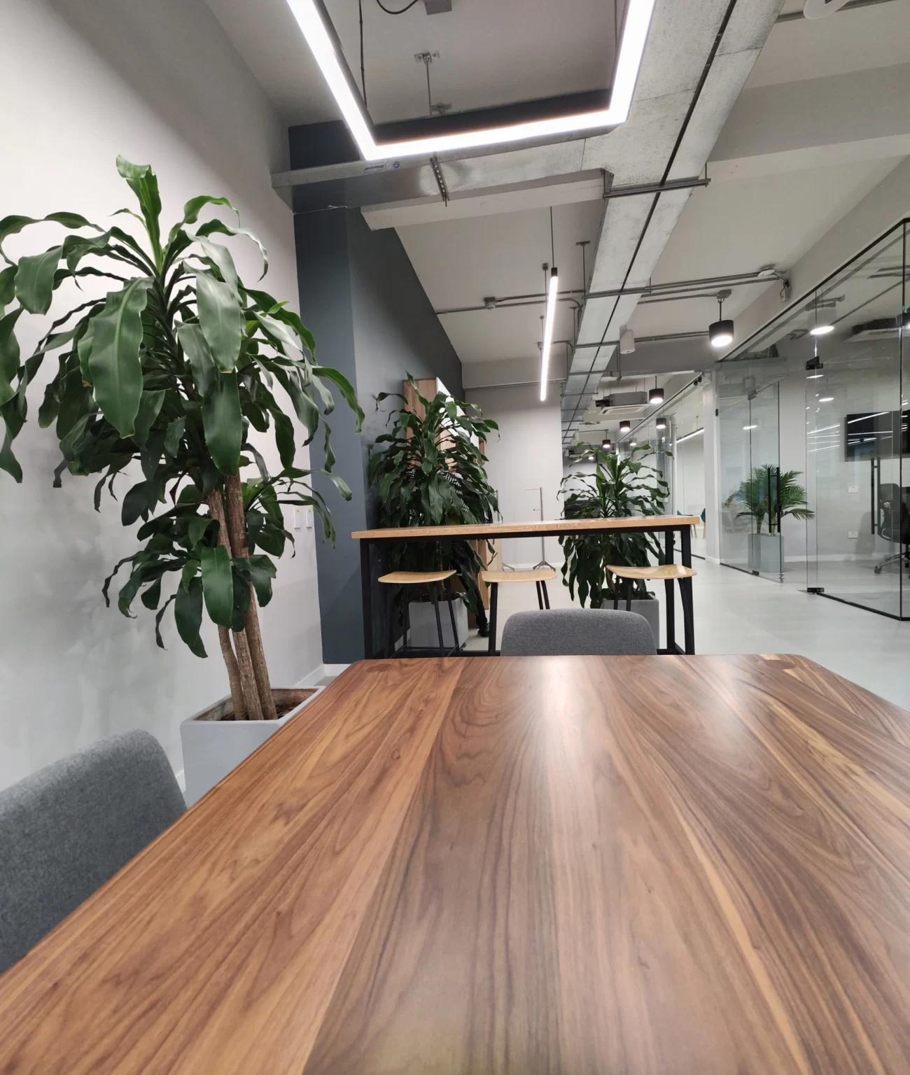 Vertical Coworking, photo 7